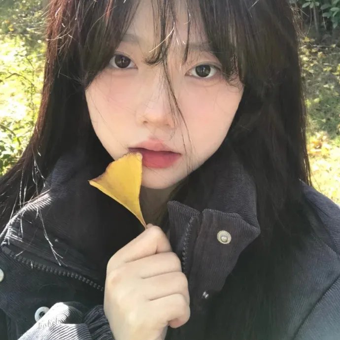 小杜丽